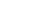 WordPress Logo