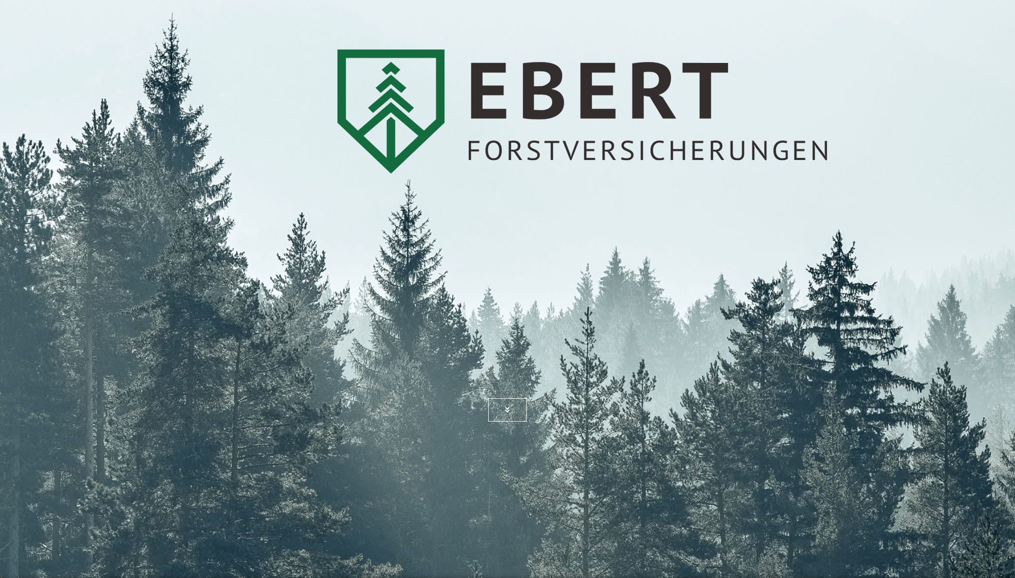 Convert GmbH CO KG - Projektstory EBERT Forstversicherungen - Screenshot Startseite